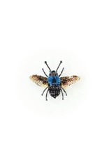 Trovelore BLUE CARPENTER BEE BR