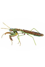 Trovelore GREEN MANTIS BR
