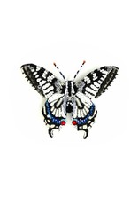Trovelore OLD WORLD SWALLOWTAIL BUTTERFLY BR