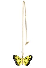 Nach Yellow back butterfly N
