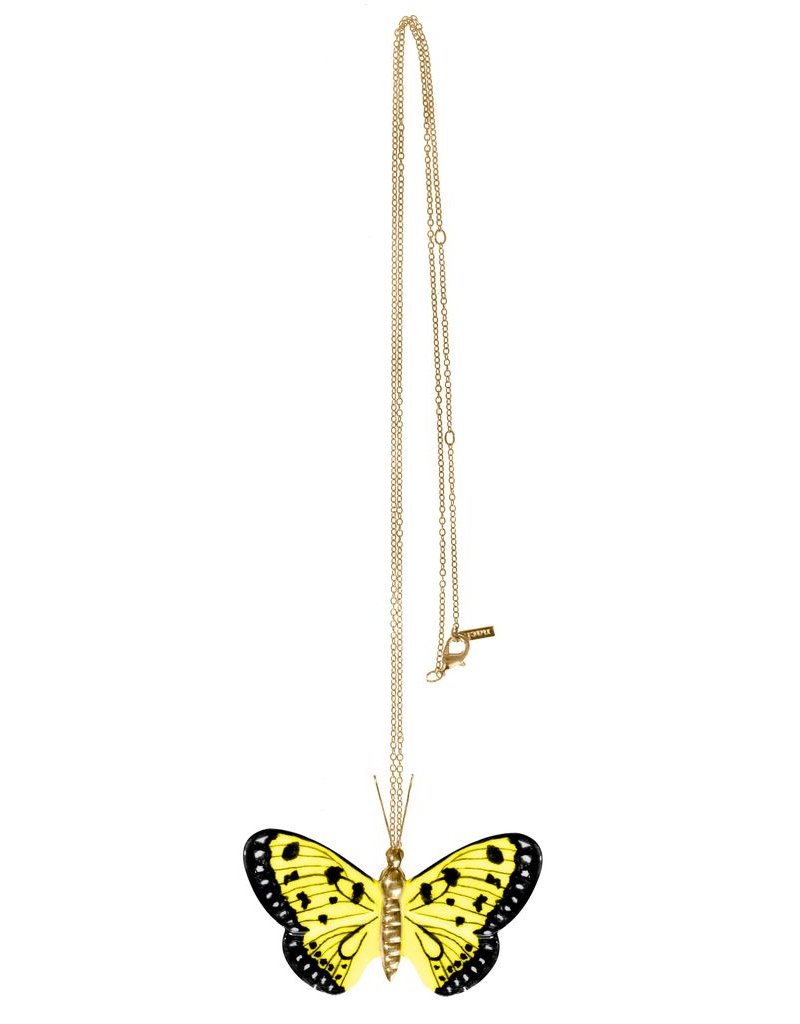 Nach Yellow back butterfly N