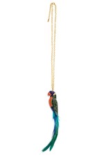 Nach Rainbow parrot feather N