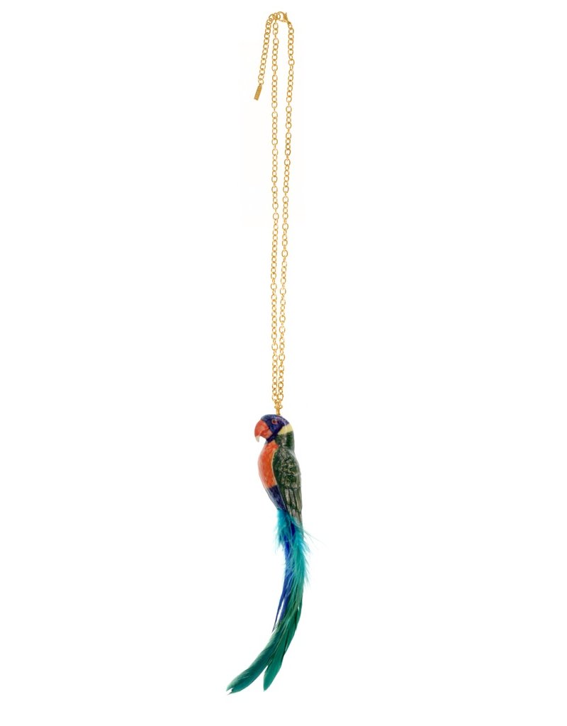 Nach Rainbow parrot feather N