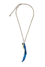 Nach Parrot blue N