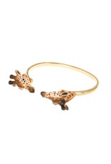 Nach Giraffe face to face B
