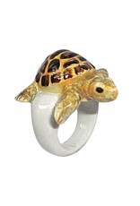 Nach Turtle R
