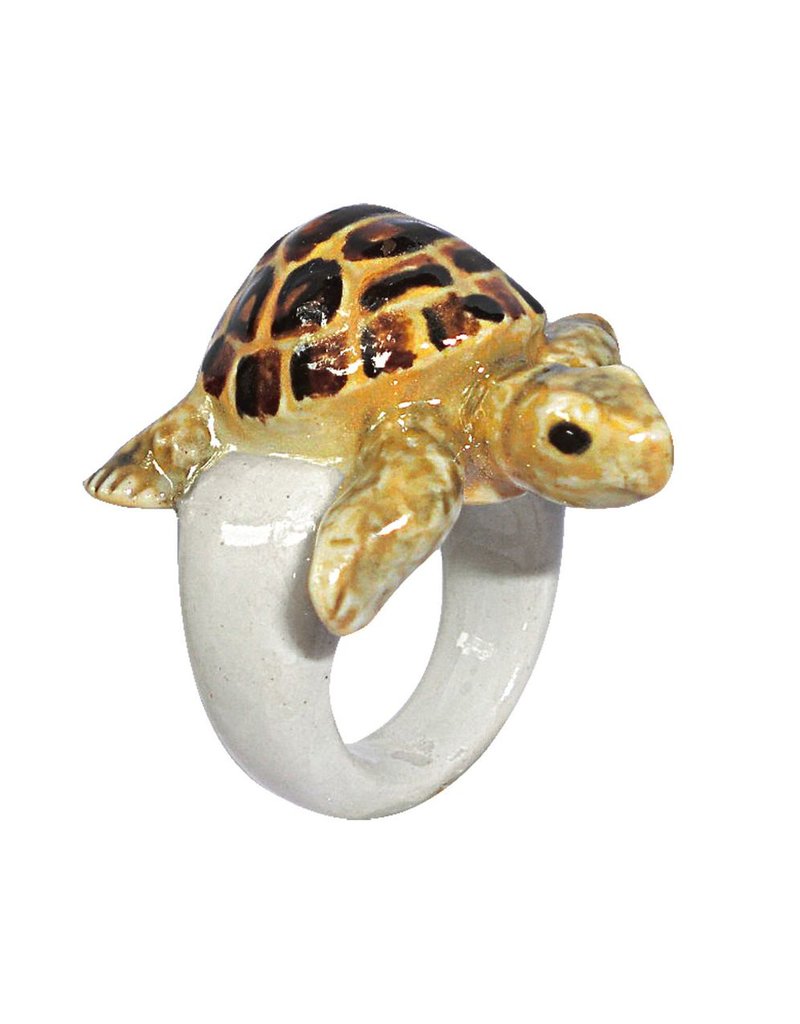 Nach Turtle R