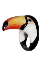 Nach Toucan R