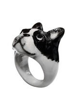 Nach French bulldog R