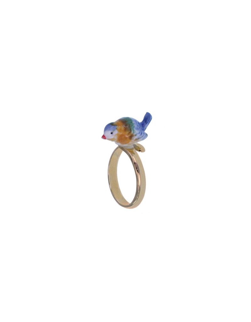 Nach Blue tit bird R