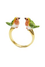 Nach Robin bird face to face R