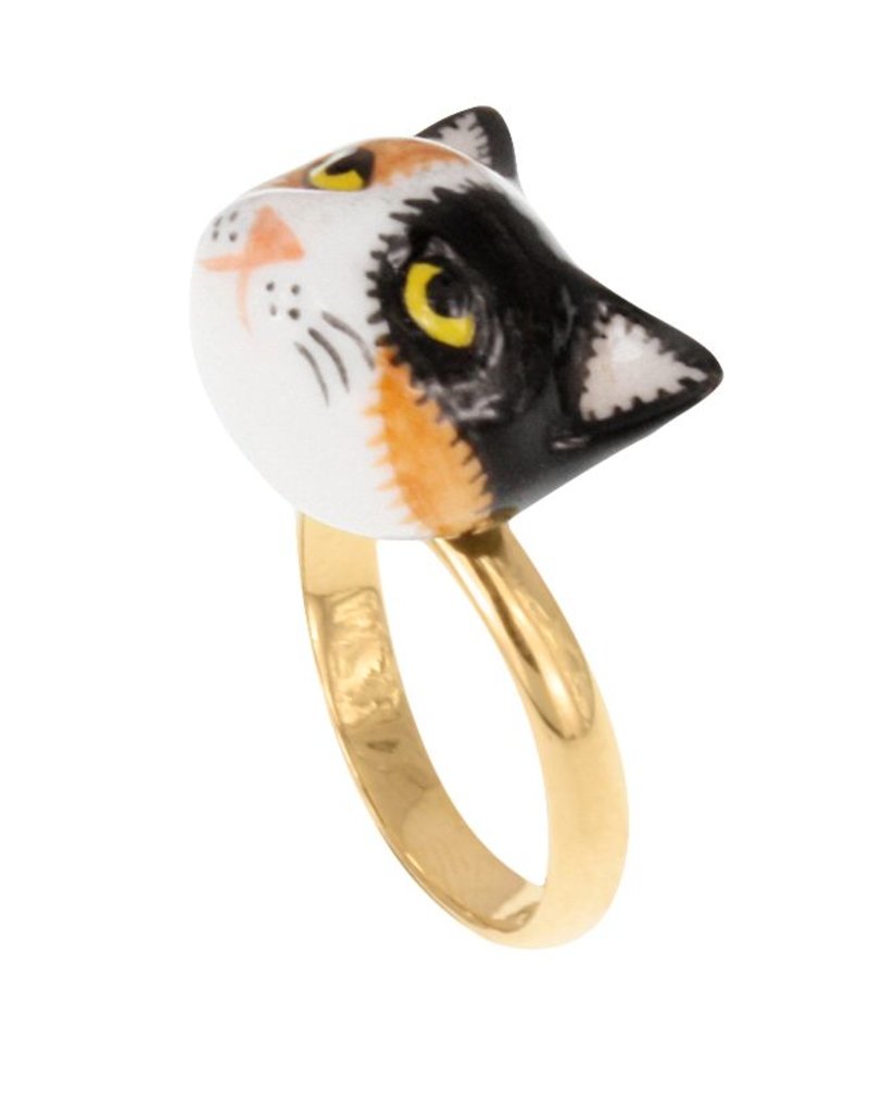Nach Black brown white cat R