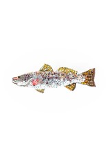 Trovelore SPOTTED TROUT BR