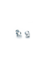 RosaMendez FLOR Small cluster E