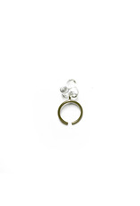 RosaMendez FLOR Mini cluster R