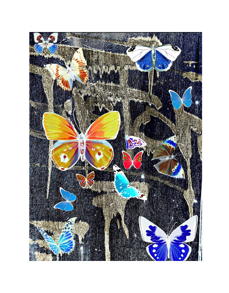 Isabelle Gougenheim RISE