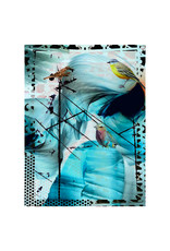 Isabelle Gougenheim LOISEAU BLEU