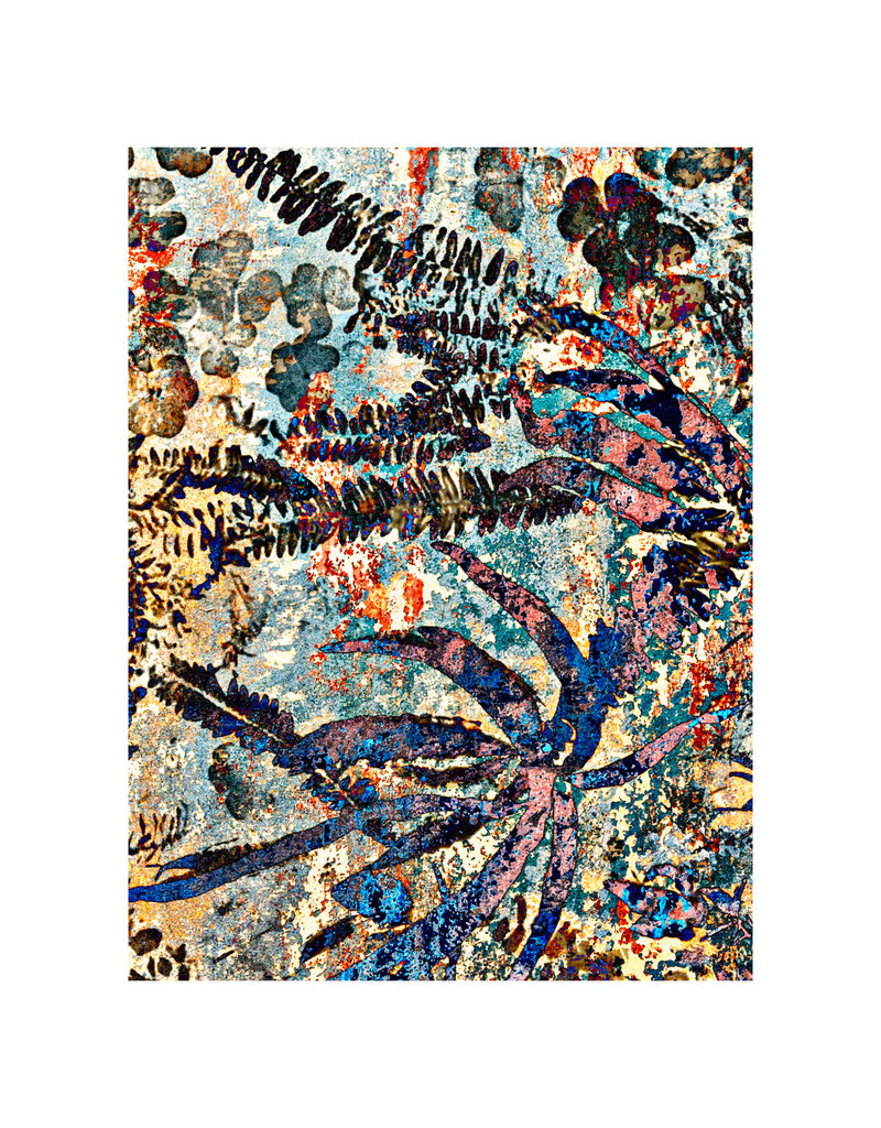 Isabelle Gougenheim LUXEMBOURG GARDENS