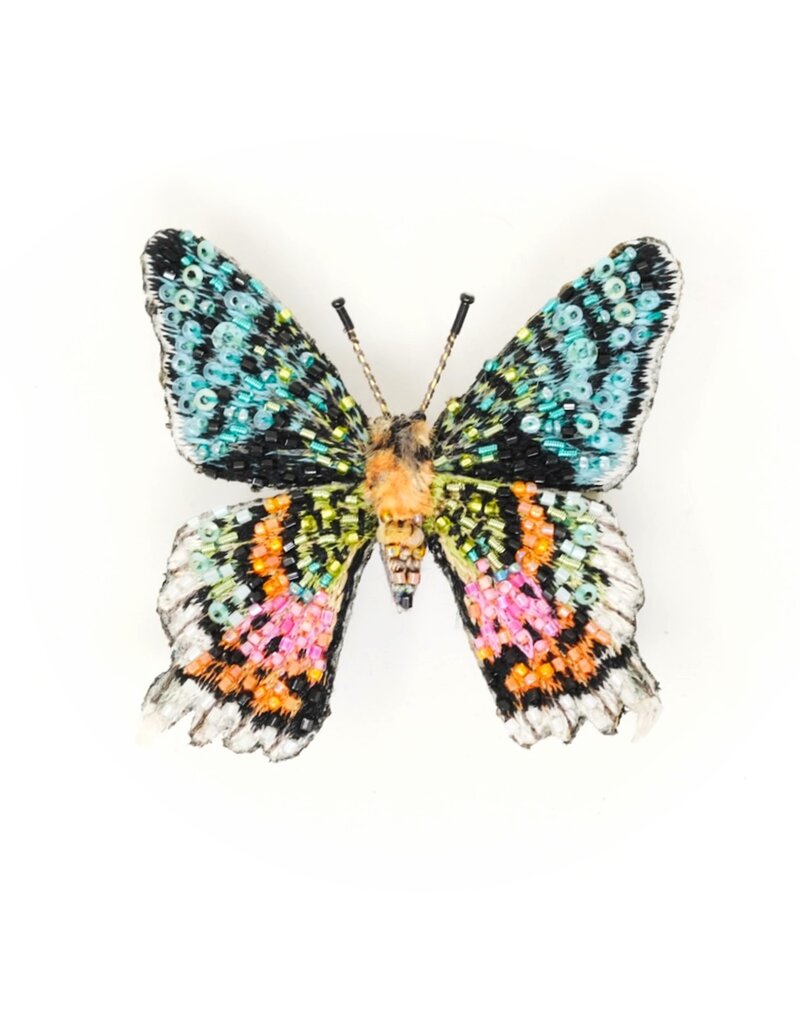 Trovelore MADAGASCAR SUNSET MOTH BR