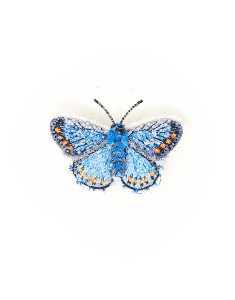 Trovelore ADONIS BLUE BUTTERFLY BR