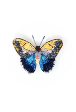 Trovelore GIANT OWL BUTTERFLY BR