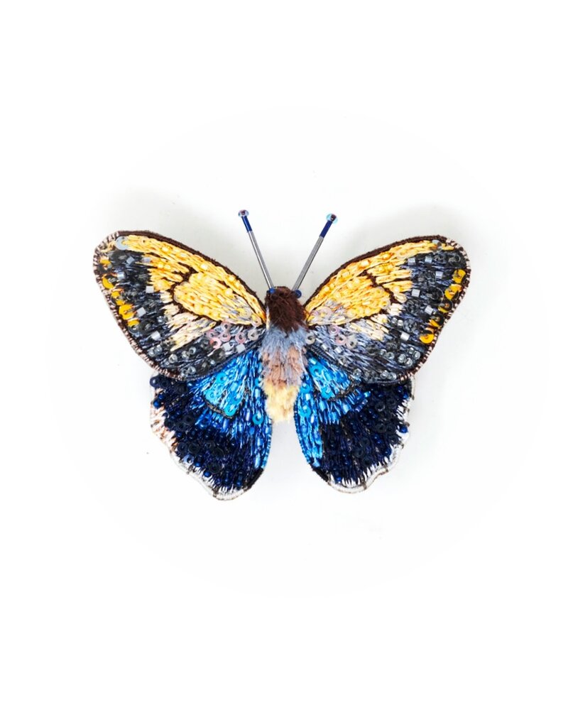 Trovelore GIANT OWL BUTTERFLY BR