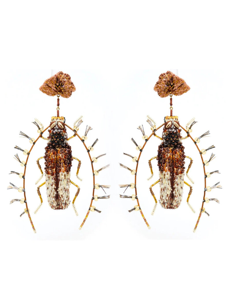Trovelore JAVANUS BEETLE E