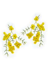 Trovelore YELLOW MIMOSA E