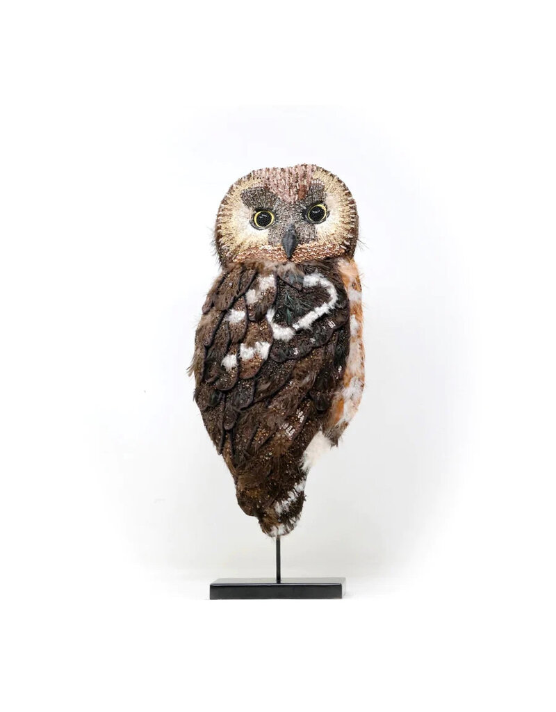 Trovelore SAW WHET OWL OBJECT ART