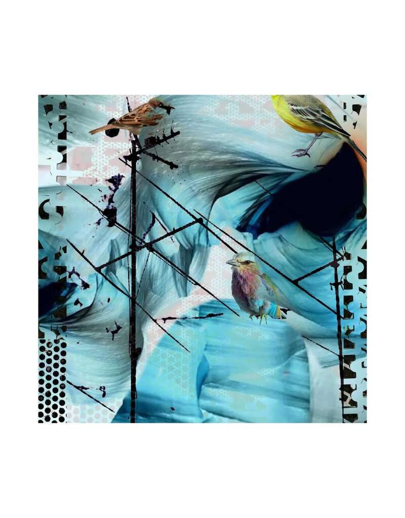 Isabelle Gougenheim L'OISEAU BLEU