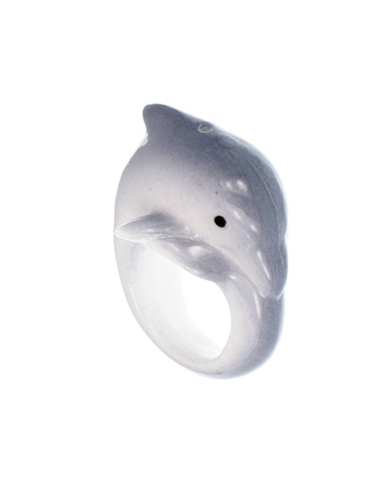Nach Dolphin flipper R