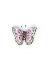 Trovelore MORPHO GODARTI BUTTERFLY BR