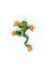 Trovelore RED EYED TREE FROG BR