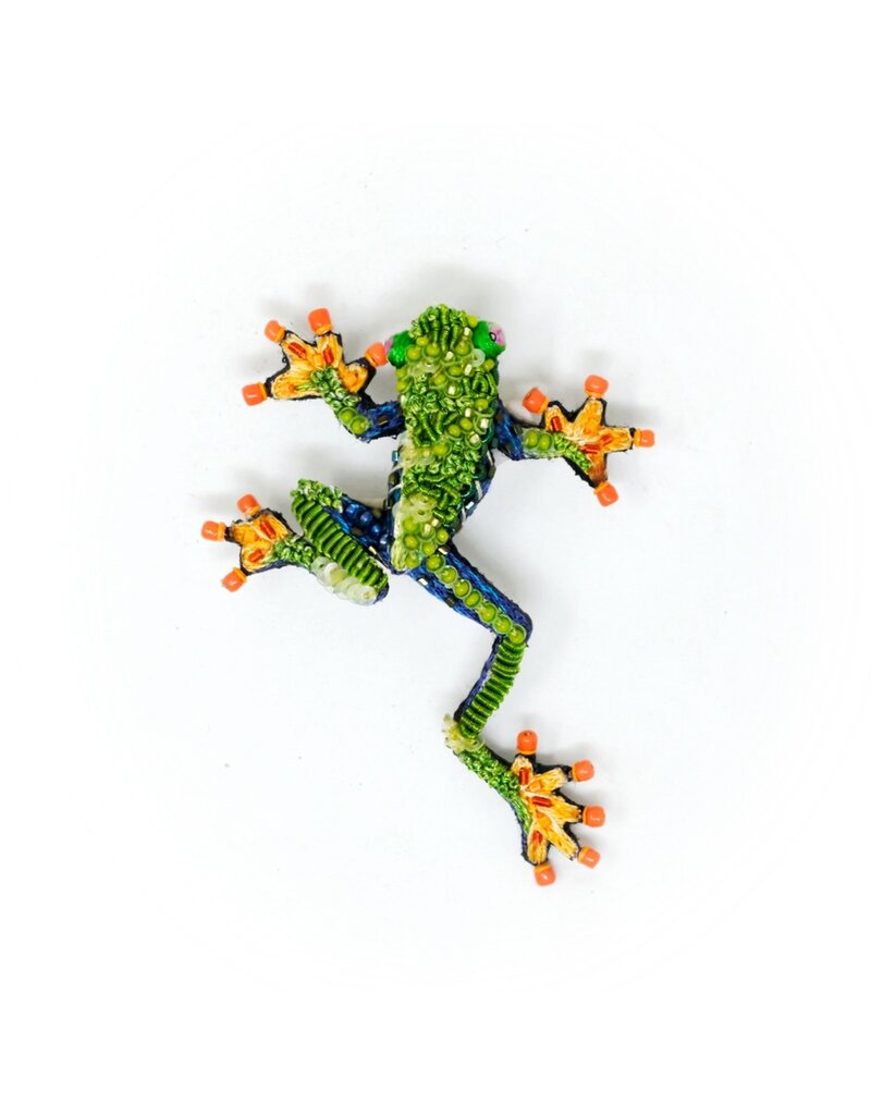Trovelore RED EYED TREE FROG BR