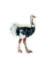 Trovelore COMMON OSTRICH BR