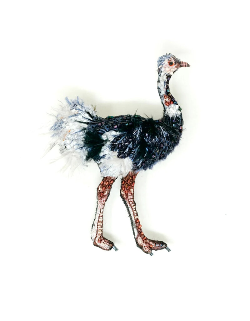 Trovelore COMMON OSTRICH BR