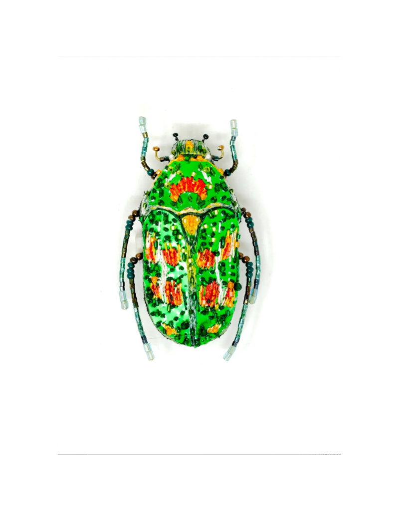 Trovelore RAINBOW FLOWER BEETLE BR