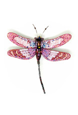 Trovelore ROSEATE SKIMMER DRAGONFLY BR