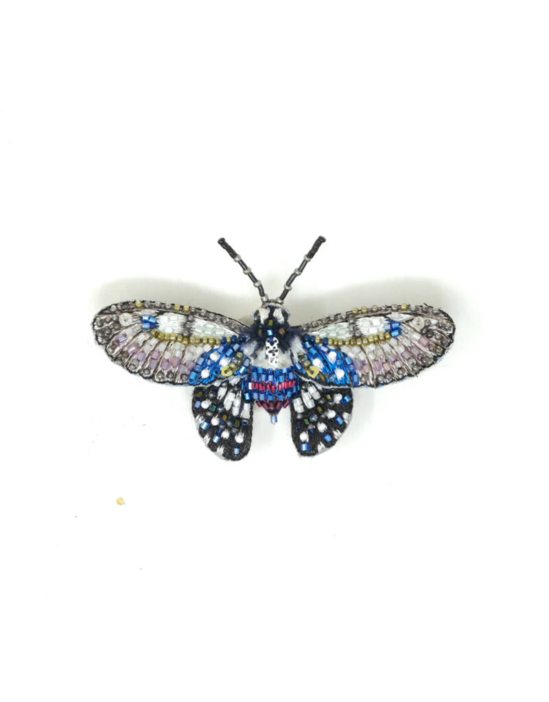 Trovelore BORNEO BIRDWING BUTTERFLYBR