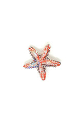 Trovelore PINK STAR BR