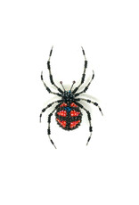 Trovelore REDBACK SPIDER BR