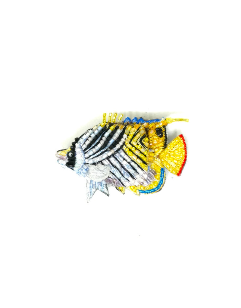 Trovelore THREADFIN BUTTERFLY FISH BR