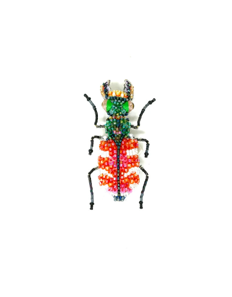 Trovelore TIGER BEETLE BR