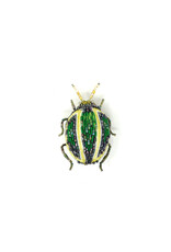 Trovelore TORTOISE BEETLE BR