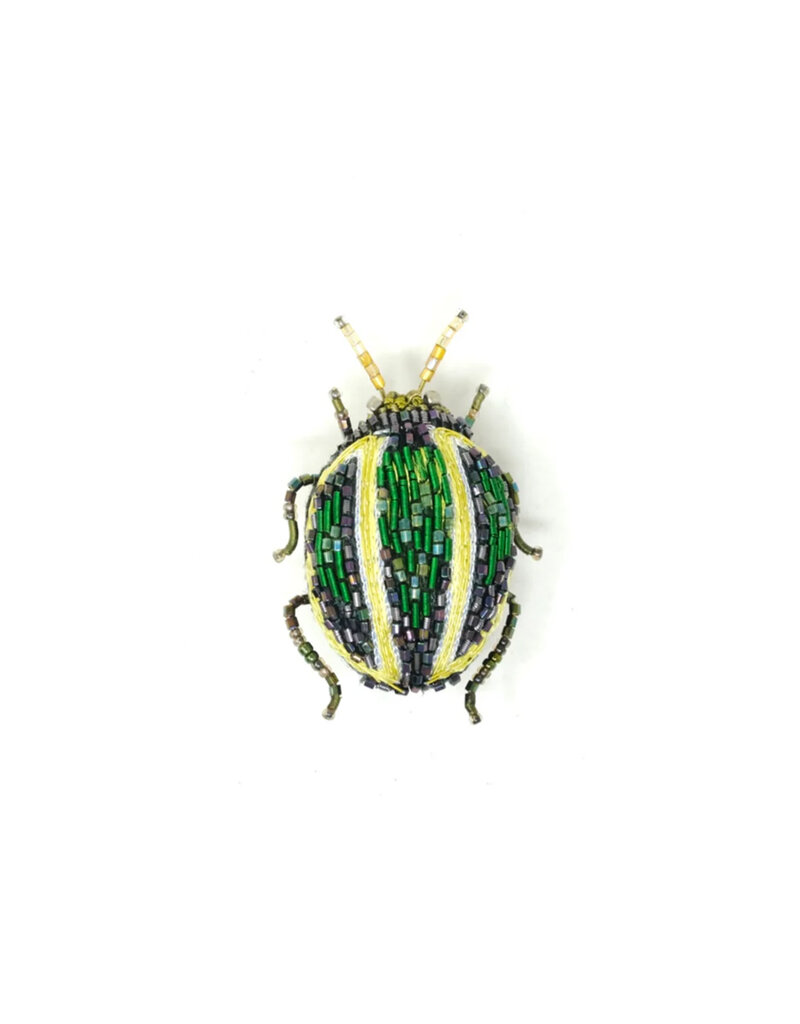 Trovelore TORTOISE BEETLE BR