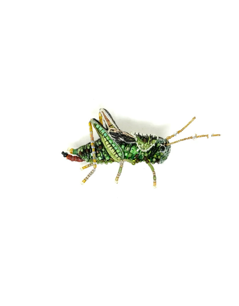 Trovelore TWO STRIPPED GRASSHOPPER BR