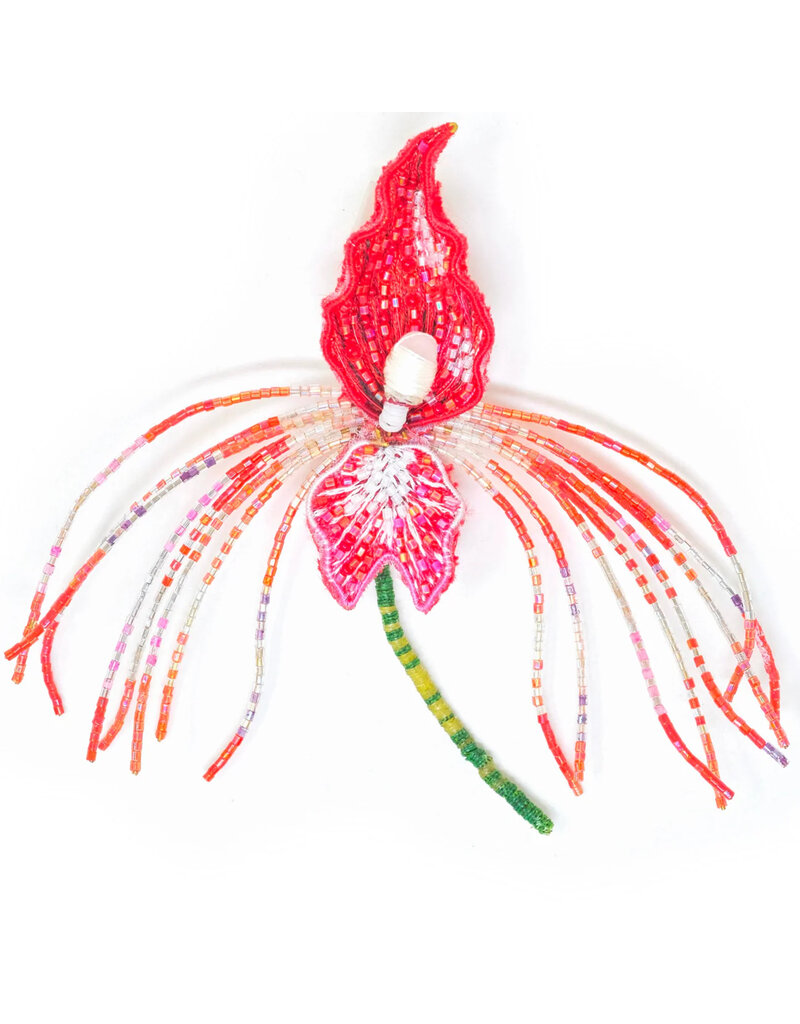 Trovelore RED DRAGON ORCHID BR