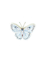 Trovelore WHITE MORPHO BUTTERFLY BR
