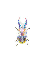 Trovelore STAG PINCER BEETLE BR