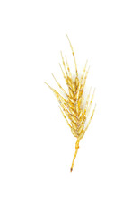 Trovelore WHEAT HEAD BR